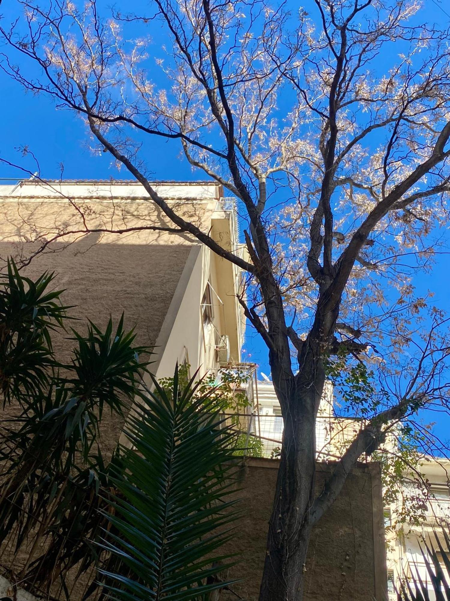 Urban Residence Kolonaki أثينا المظهر الخارجي الصورة